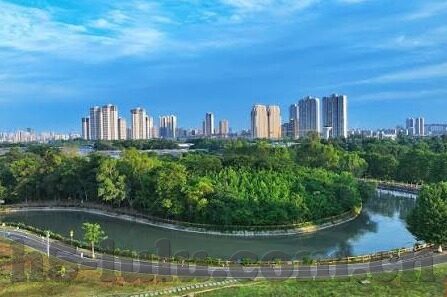 大象传媒免费入口-探索大象传媒的免费资源入口，解锁知识与娱乐的新窗口