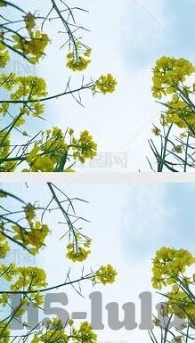 快猫视频rec05麻豆-快猫视频rec05麻豆，网络新趋势与内容审慎视角