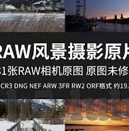 麻豆传媒视频在线免费-网络安全与道德红线，透视麻豆传媒视频在线免费现象