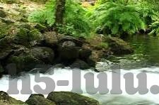 麻豆自制传媒 app-麻豆视角的创意乐园 —— 走进自制传媒app的独特风景